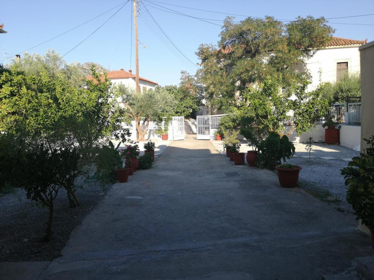 Sunny Cozy House With Grand Courtyard Διαμέρισμα Λεωνίδιο Εξωτερικό φωτογραφία